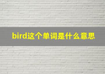 bird这个单词是什么意思