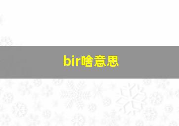 bir啥意思