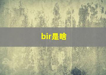 bir是啥