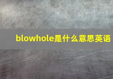 blowhole是什么意思英语