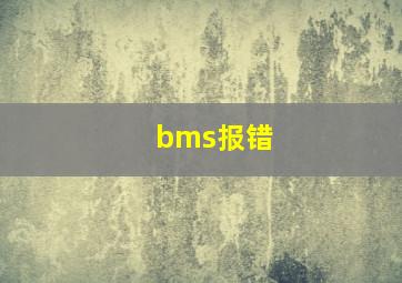 bms报错