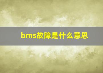 bms故障是什么意思