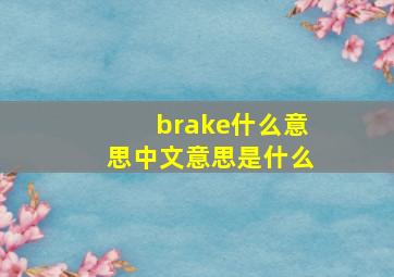 brake什么意思中文意思是什么