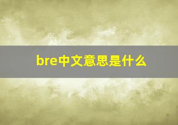 bre中文意思是什么