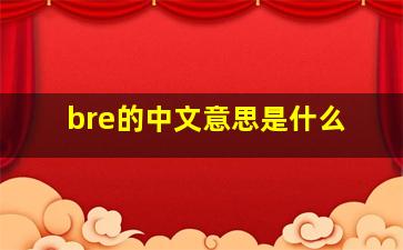 bre的中文意思是什么