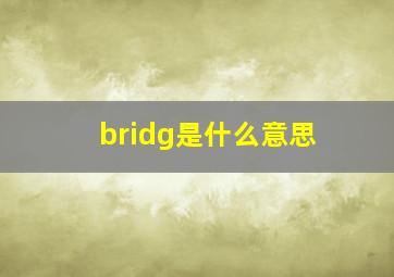 bridg是什么意思