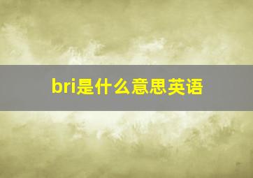 bri是什么意思英语