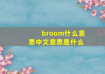 broom什么意思中文意思是什么