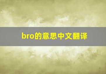 bro的意思中文翻译