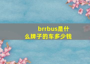 brrbus是什么牌子的车多少钱