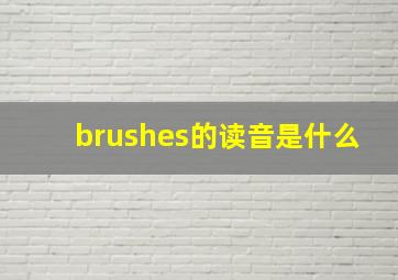 brushes的读音是什么