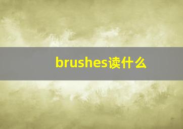 brushes读什么