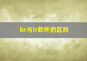 br与lr软件的区别