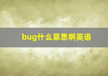 bug什么意思啊英语