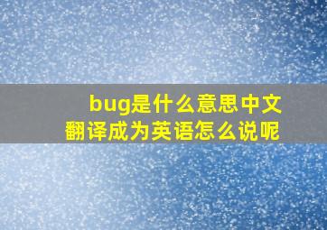 bug是什么意思中文翻译成为英语怎么说呢