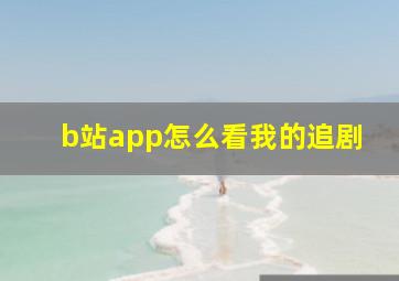 b站app怎么看我的追剧