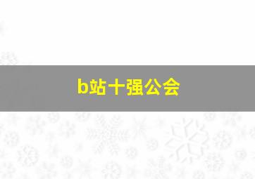 b站十强公会