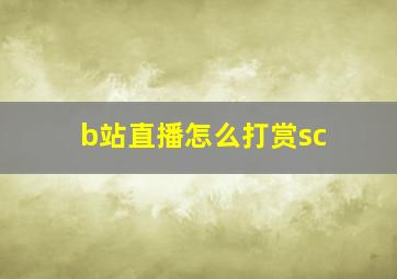 b站直播怎么打赏sc