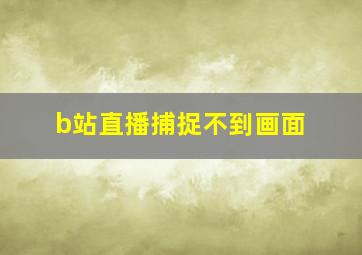 b站直播捕捉不到画面