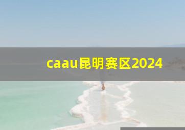 caau昆明赛区2024