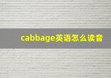 cabbage英语怎么读音