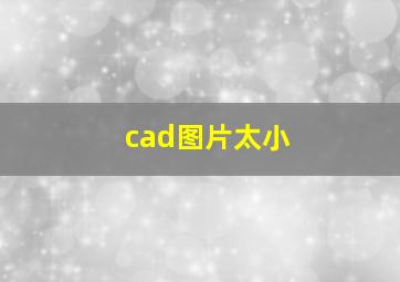 cad图片太小