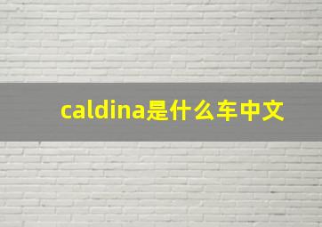 caldina是什么车中文