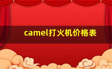 camel打火机价格表