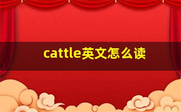 cattle英文怎么读