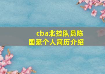 cba北控队员陈国豪个人简历介绍