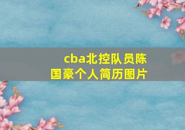 cba北控队员陈国豪个人简历图片