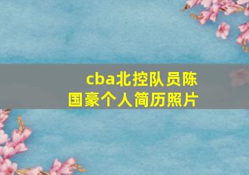 cba北控队员陈国豪个人简历照片