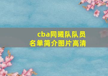 cba同曦队队员名单简介图片高清