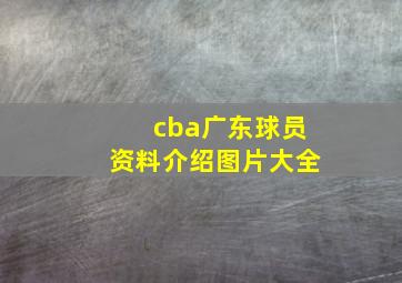 cba广东球员资料介绍图片大全