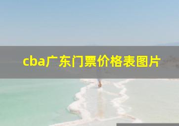 cba广东门票价格表图片