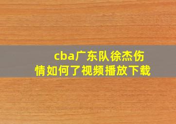 cba广东队徐杰伤情如何了视频播放下载