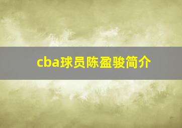 cba球员陈盈骏简介