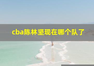 cba陈林坚现在哪个队了