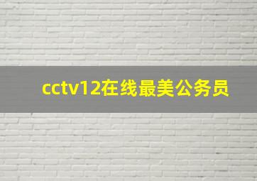 cctv12在线最美公务员