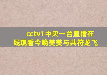 cctv1中央一台直播在线观看今晚美美与共符龙飞