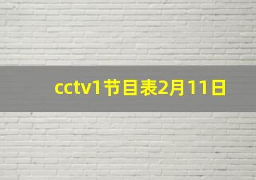 cctv1节目表2月11日