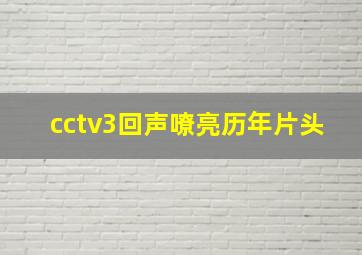 cctv3回声嘹亮历年片头