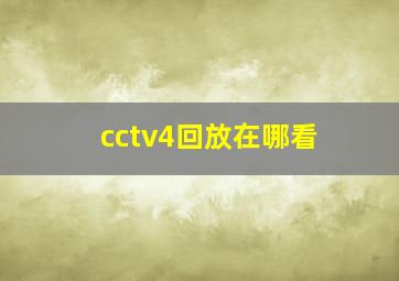 cctv4回放在哪看