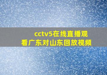 cctv5在线直播观看广东对山东回放视频