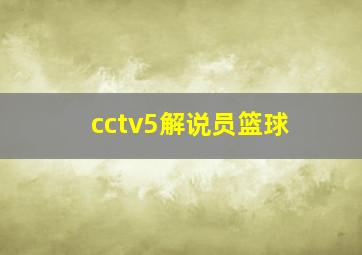 cctv5解说员篮球