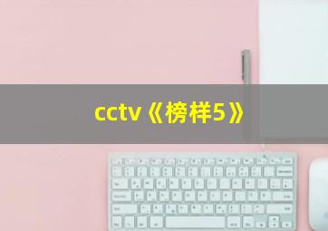 cctv《榜样5》