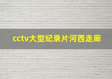 cctv大型纪录片河西走廊