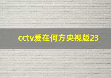 cctv爱在何方央视版23