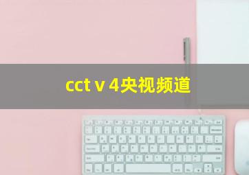 cctⅴ4央视频道