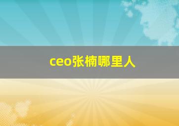 ceo张楠哪里人